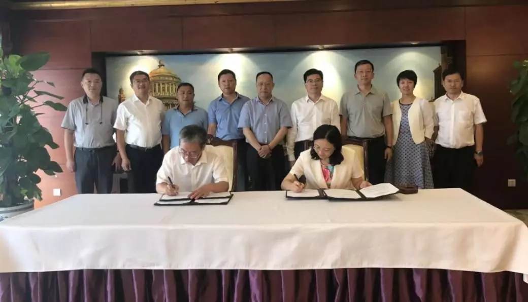 12313.webp.jpg 12313.webp.jpg